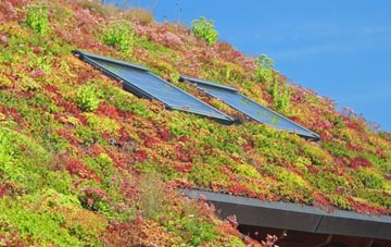 Potters Bar living roof systems